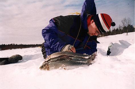 Mie ja kolme harjusta