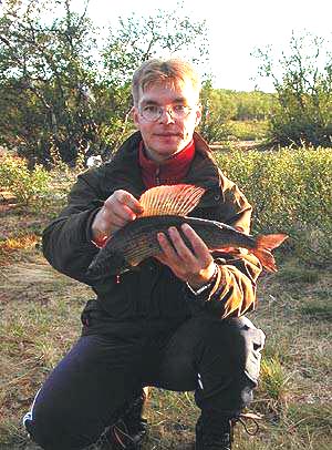 Reissun ensimmäinen harjus