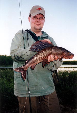 Harjus 57,7 cm / 1650 g