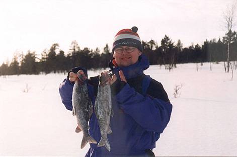 Mie ja kaksi isoa harjusta