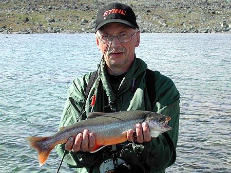 Reissun suurin rautu 1,3 kiloa