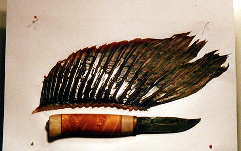 Harjuksen selkäevä